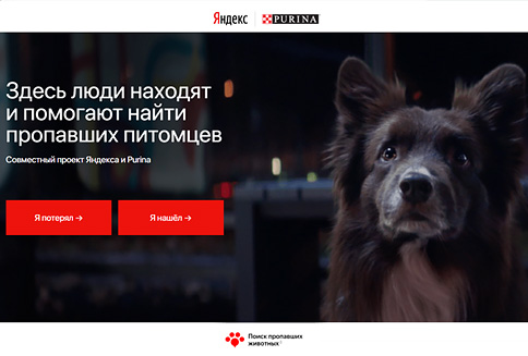 Purina и «Яндекс» создали сервис, который поможет хозяевам в поиске потерявшихся питомцев