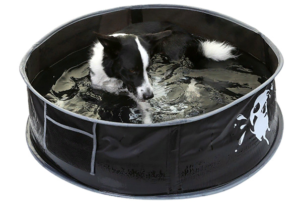 «АС-Маркет» представил складной бассейн для собак