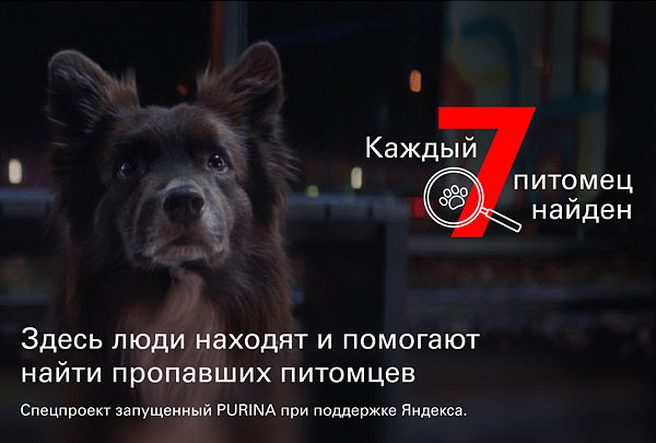 Совместный проект «Яндекса» и Purina по поиску животных заработал по всей России