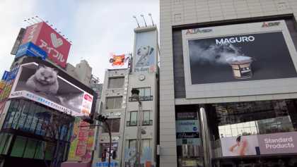 3D-кошка «прыгнула»! Эффектная реклама на улицах Токио продолжает удивлять